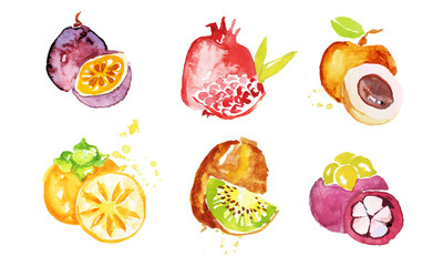 Juicy Ripe Tropical Fruit Collection, Persimmon, Chrysophyllum, Pomegranate, Mangosteen, Peach, Kiwi Watercolor Hand Painting Vector Illustration