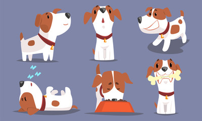 Cute Beagle Dog Collection, Funny Pet Animal Character in Different Situations Vector Illustration