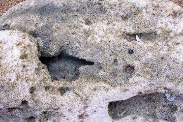 stone texture beautiful and easy to get lost in