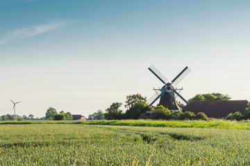 Windmühle Seriemer Mühle  in ländlicher Umgebung, Ostfriesland, Niedersachsen, Deutschland