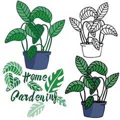 Vector illustration on the theme of home gardening. Homemade flower in a pot. Performed in different techniques, contour, stroke, color. Ideal for textile, paper, gift and web products.