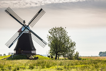 Typische Landschaft in Ostfriesland mit Mühle nahe der Stadt Leer in Niedersachsen, Deutschland