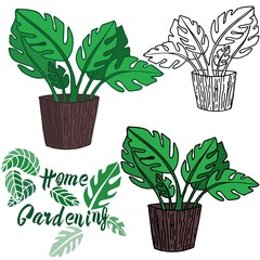 Vector illustration on the theme of home gardening. Homemade flower in a pot. Performed in different techniques, contour, stroke, color. Ideal for textile, paper, gift and web products.