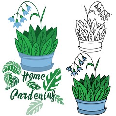 Vector illustration on the theme of home gardening. Homemade flower in a pot. Performed in different techniques, contour, stroke, color. Ideal for textile, paper, gift and web products.