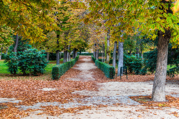 Footpath in Buen Retiro Park in Madrid