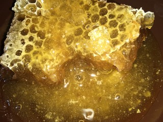 abstract hexagonal background natural fresh golden liquid honey honeycombs