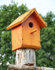 Wooden orange birdhouse on  tree