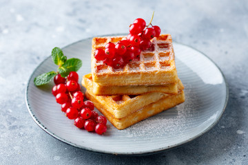 Belgian waffles with fresh red currant berries. Grey background. Close up.
