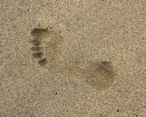 closeup of single footprint in the sand