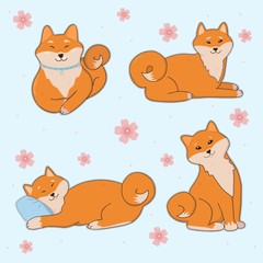 Cute shiba inu stickers set. Isolated vector elements.