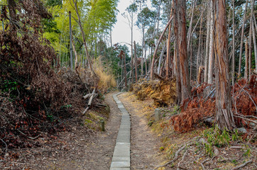 京都一周トレイル　東山コース