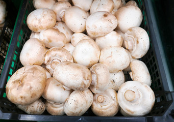 white champignons in a plastic box put up for sale in a large shopping center