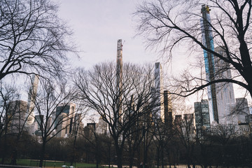 cental park new york