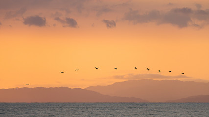 Sunset on the beaches of the Pacific Ocean in Costa Rica overlooking the Nicoya Peninsula, birds and fishermen.