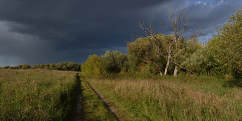Walking through the forest, beautiful panorama.