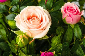 Background of fresh flowers with copy space