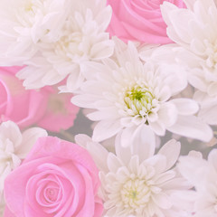 dark pink roses and white chrysanthemums top view, filtered image