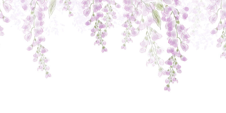 藤の花 の画像 106 322 件の Stock 写真 ベクターおよびビデオ Adobe Stock