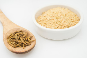 Worm flour in white background