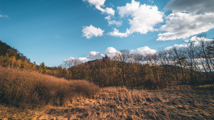 castle in the forest