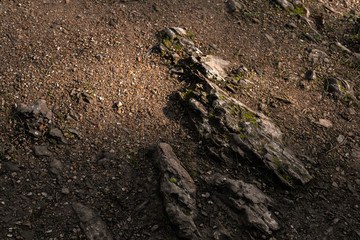 Moss covered rocks and brown dirt on the ground as a natural and earthy background