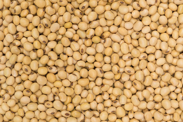 Top view deied soy bean for background