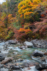 紅葉の阿寺渓谷