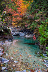紅葉の阿寺渓谷