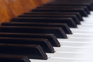 Piano keyboard close-up. The concept of music education.