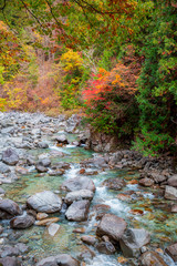 紅葉の阿寺渓谷