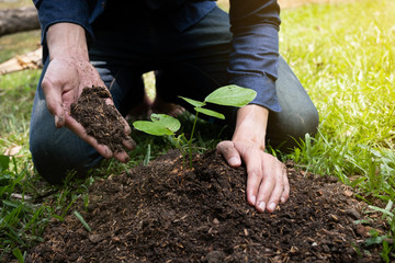 The young man is planting the tree to preserve environment