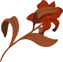 Botanical illustration. Image of a burgundy flower. Great for creating backgrounds, logos, decor greeting cards