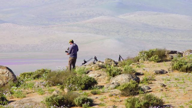 filmmaker setting up gear in the flowery desert of Atacama during one of the biggest blooming.