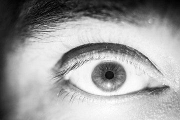 Black and white macro image with the brown eye of a man