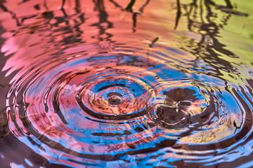 Raindrops fall on the surface of the water. The circles from the raindrops on the water surface. Abstract color background of circles on the water and falling drops.