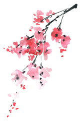 Blossom sakura tree © ola_tarakanova