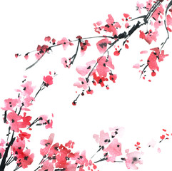 Blossom sakura tree © ola_tarakanova