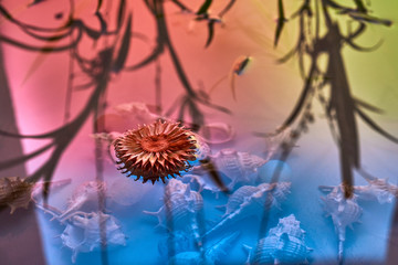 Raindrops fall on the surface of the water. The circles from the raindrops on the water surface. Abstract color background of circles on the water and falling drops.