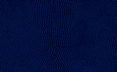 leather toned in trendy Classic Blue color of the Year 2020