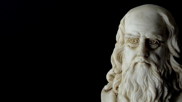 half length portrait of Leonardo da Vinci rotating on a black background