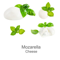 Collection of Italian Mozzarella cheese Isolated. Mozzarella ball and basil leaf on white...