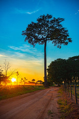 Fototapeta na wymiar sunset in amazon brazil