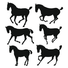 Silhouette of horses. vector illustration isolated on white
