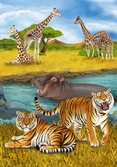 cartoon scene with hippopotamus hippo swimming in river near the meadow and giraffes resting illustration for children