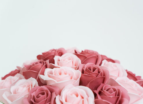 Buds of pink and white roses on a white background.