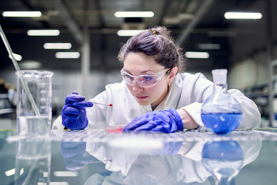 Woman Laboratory Assistant With Petri Dish In Hands