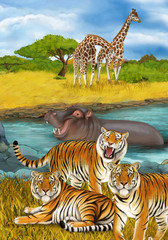 Fototapeta na wymiar cartoon scene with hippopotamus hippo swimming in river near the meadow and giraffes resting illustration for children