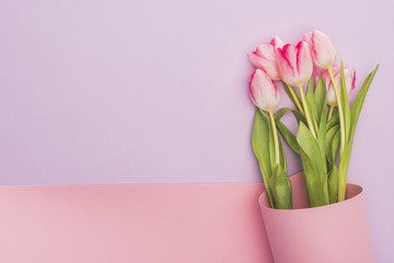 Fototapeta premium top view of tulips wrapped in pink paper swirl on violet background