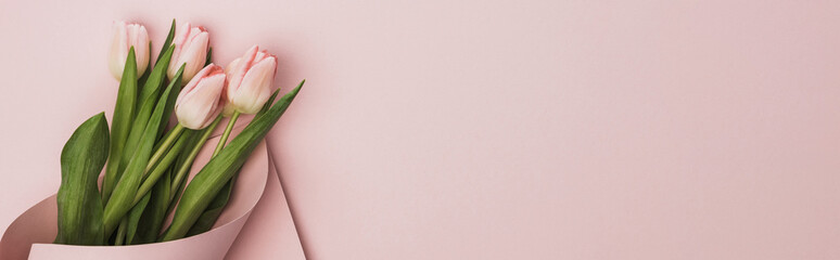 top view of tulips wrapped in paper on pink background, panoramic shot