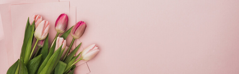 top view of pink and purple tulips wrapped in paper on pink background, panoramic shot